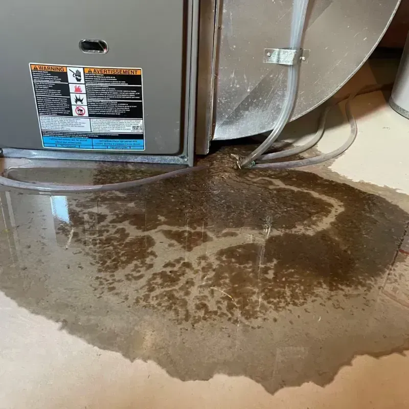 Appliance Leak Cleanup in Lake Barrington, IL